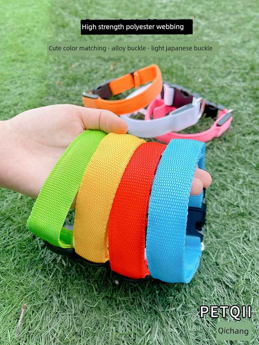DFShop LED Dog Collars Safety with Alloy Buckle & Light - DFShop