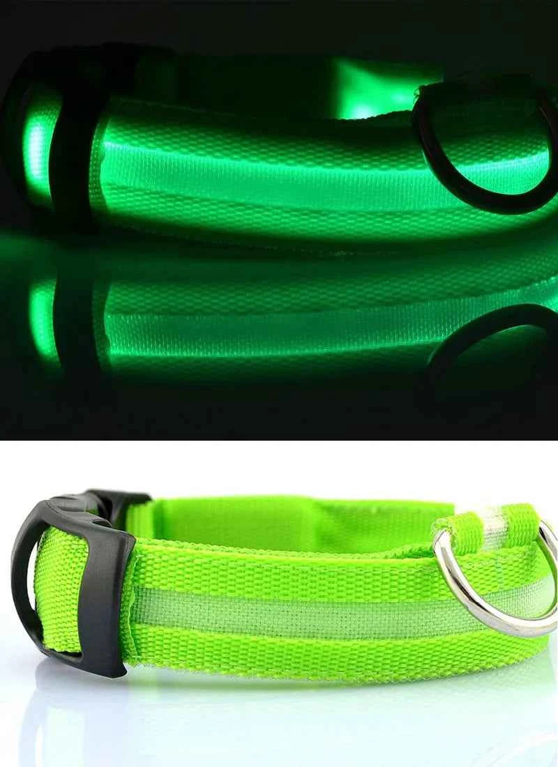 DFShop LED Dog Collar Nylon - Bright, Durable & Colorful - DFShop