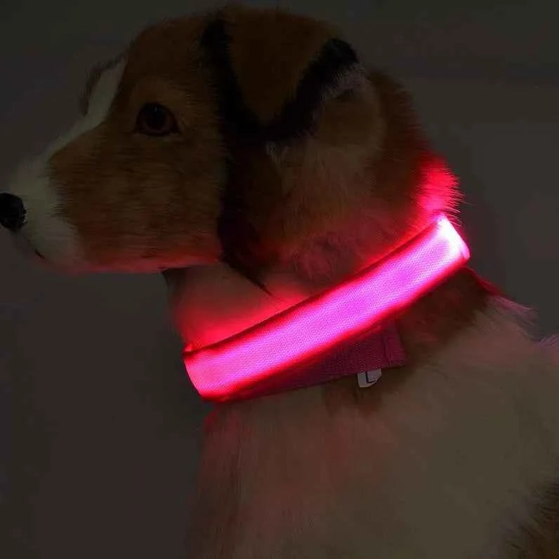 DFShop LED Dog Collar Nylon - Bright, Durable & Colorful - DFShop