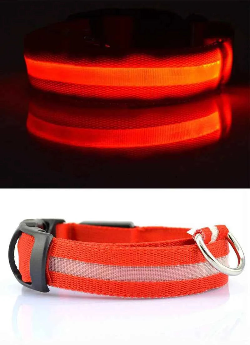 DFShop LED Dog Collar Nylon - Bright, Durable & Colorful - DFShop
