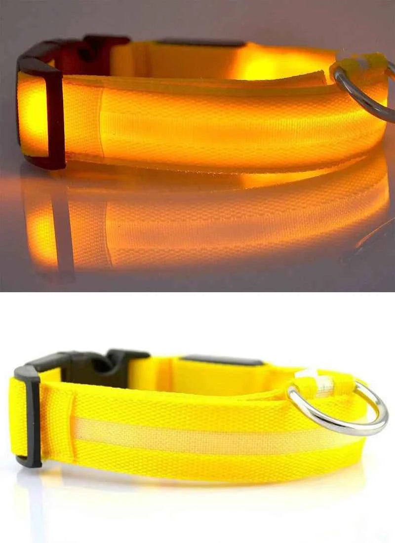 DFShop LED Dog Collar Nylon - Bright, Durable & Colorful - DFShop