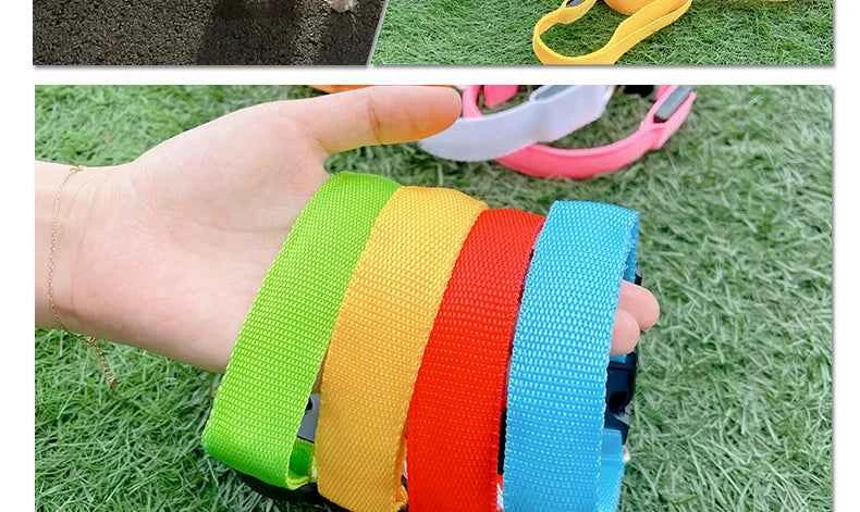 DFShop LED Dog Collars Safety with Alloy Buckle & Light - DFShop
