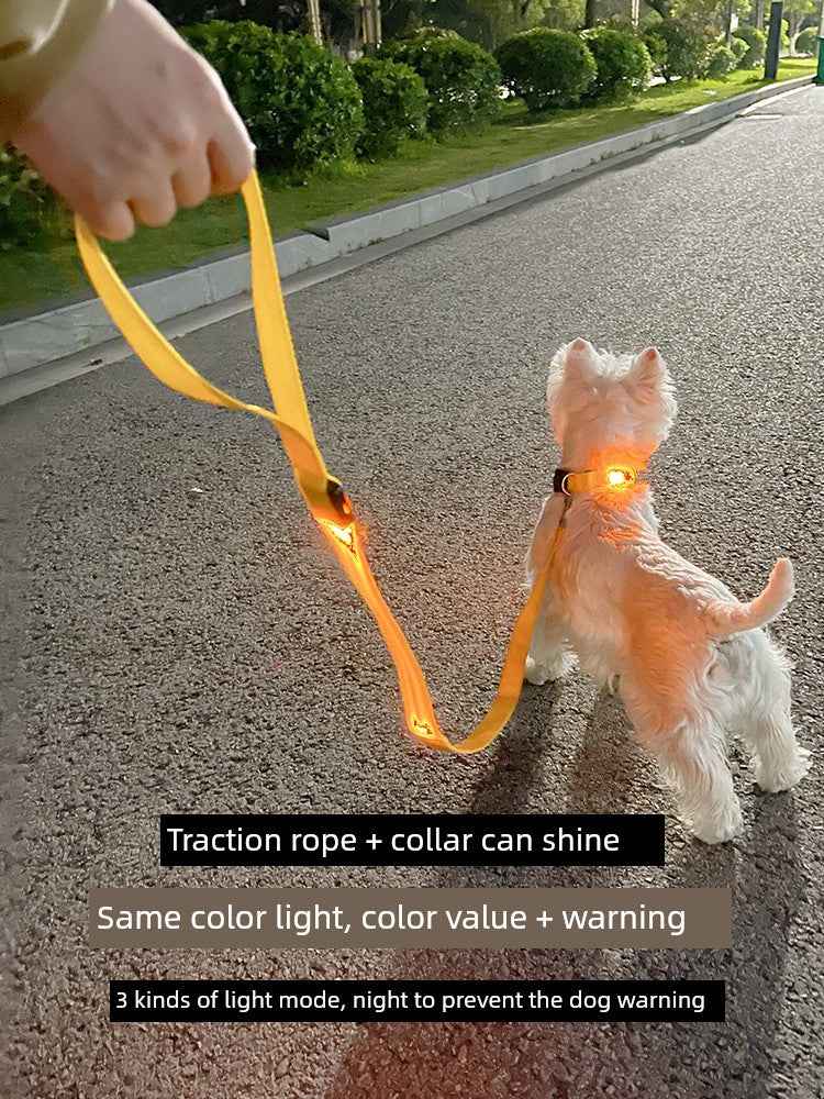 DFShop LED Dog Collars Safety with Alloy Buckle & Light - DFShop