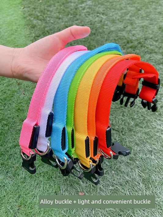 DFShop LED Dog Collars Safety with Alloy Buckle & Light - DFShop