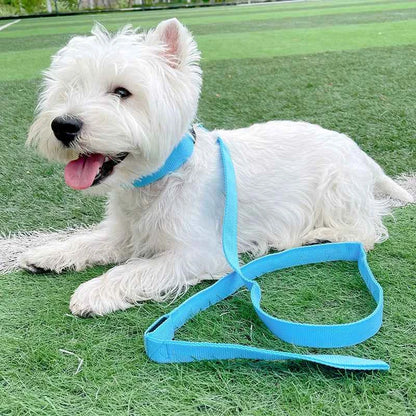 DFShop LED Dog Collars Safety with Alloy Buckle & Light - DFShop