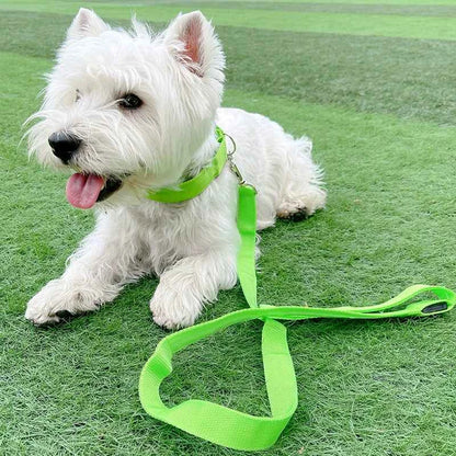 DFShop LED Dog Collars Safety with Alloy Buckle & Light - DFShop