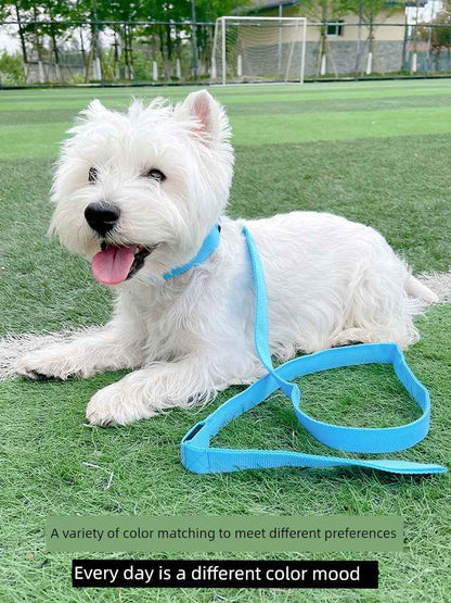 DFShop LED Dog Collars Safety with Alloy Buckle & Light - DFShop