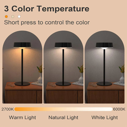 DFShop solar table lamp rechargeable with three color temperatures warm natural and white light