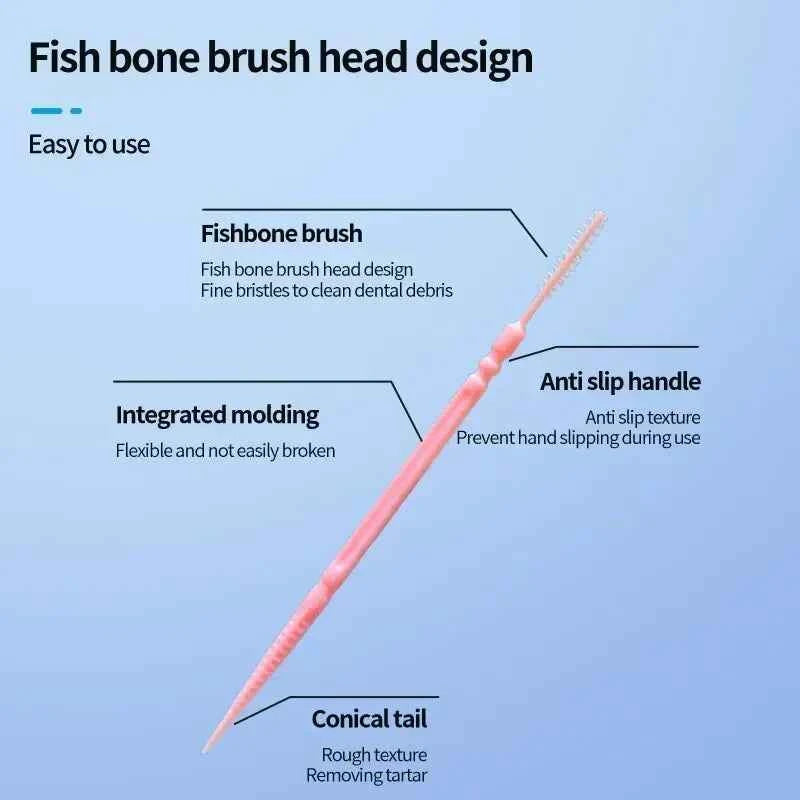 Ultra fine family toothpick box featuring fish bone brush head, anti slip handle, integrated molding, and conical tail