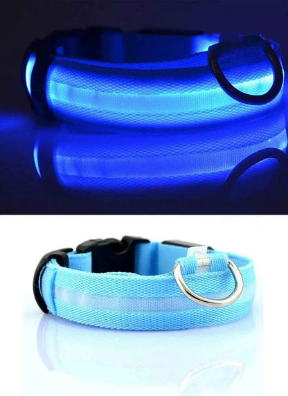 DFShop LED Dog Collar Nylon - Bright, Durable & Colorful - DFShop