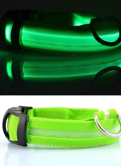 DFShop LED Dog Collar Nylon - Bright, Durable & Colorful - DFShop