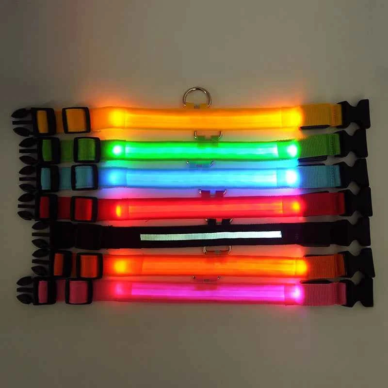 DFShop LED Dog Collar Nylon - Bright, Durable & Colorful - DFShop