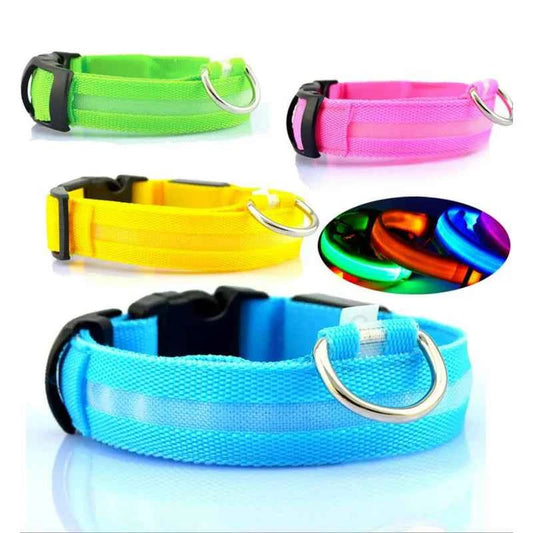 DFShop LED Dog Collar Nylon - Bright, Durable & Colorful - DFShop