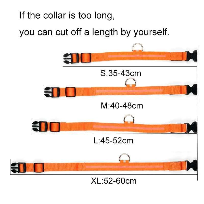 DFShop LED Dog Collar Nylon - Bright, Durable & Colorful - DFShop