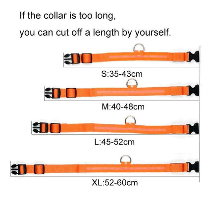 DFShop LED Dog Collar Nylon - Bright, Durable & Colorful - DFShop
