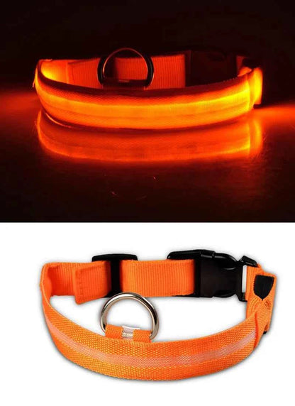 DFShop LED Dog Collar Nylon - Bright, Durable & Colorful - DFShop
