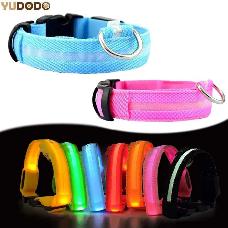 DFShop LED Dog Collar Nylon - Bright, Durable & Colorful - DFShop