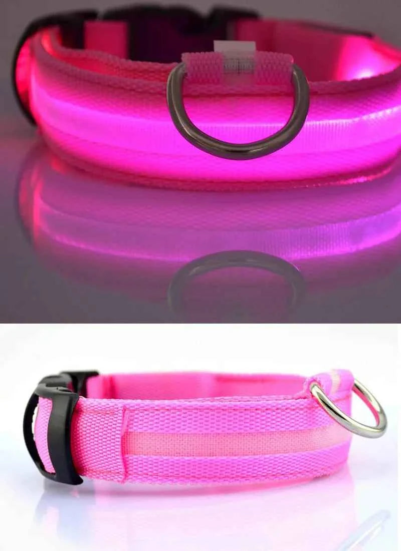 DFShop LED Dog Collar Nylon - Bright, Durable & Colorful - DFShop