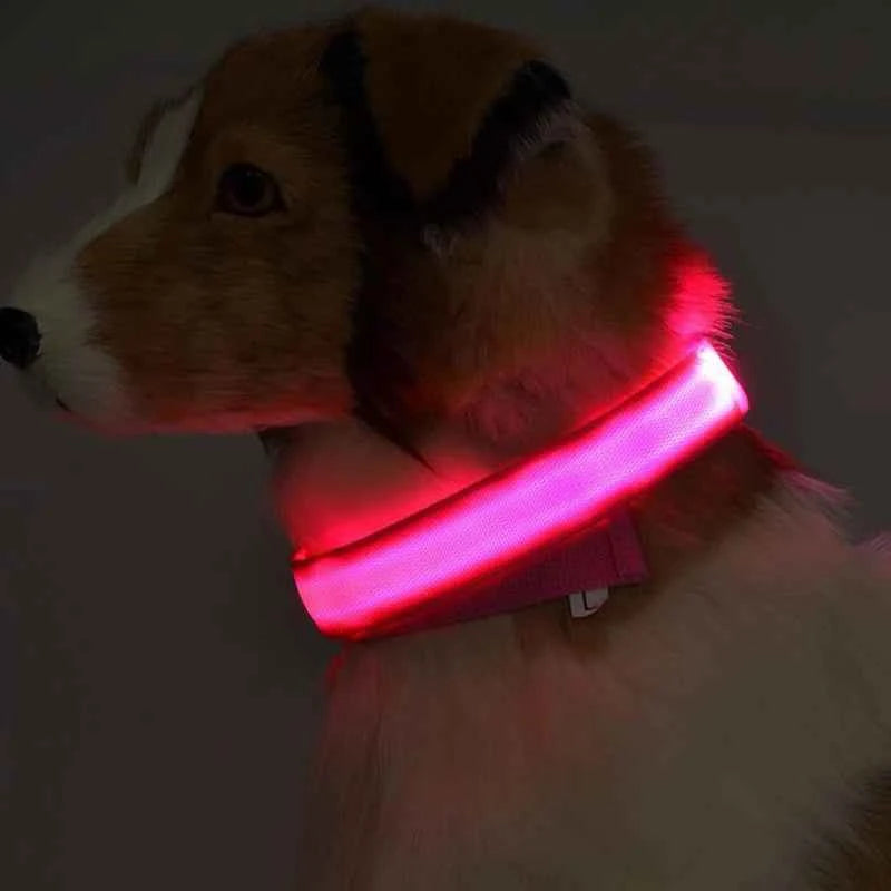 DFShop LED Dog Collar Nylon - Bright, Durable & Colorful - DFShop