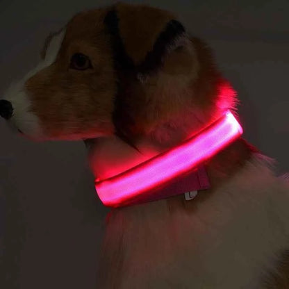 DFShop LED Dog Collar Nylon - Bright, Durable & Colorful - DFShop