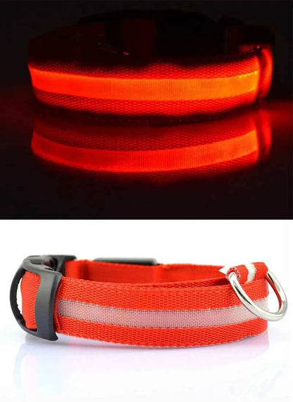 DFShop LED Dog Collar Nylon - Bright, Durable & Colorful - DFShop