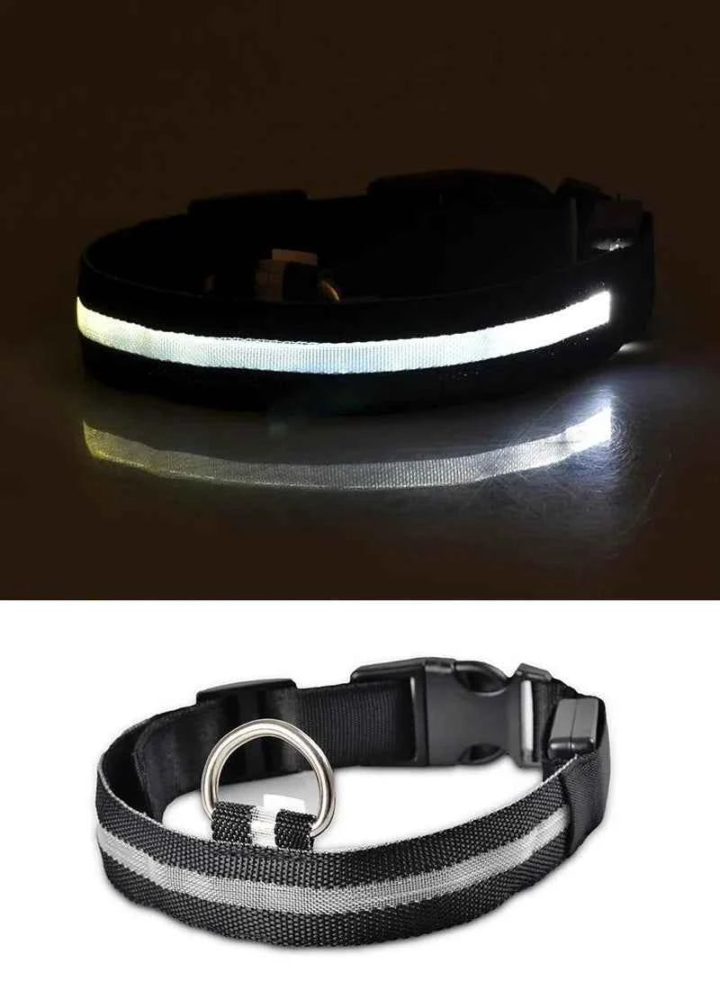 DFShop LED Dog Collar Nylon - Bright, Durable & Colorful - DFShop